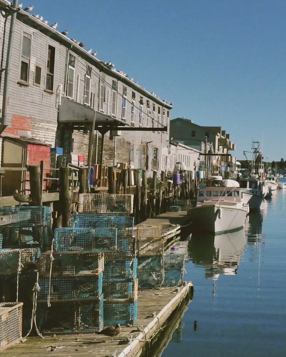 Working New England harbor: stacked lobster traps on a wooden dock, fishing boats, weathered waterfront buildings.